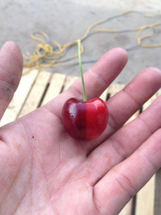 Photos For Perfectionists (21 pics)