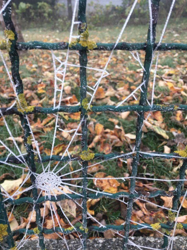 Photos For Perfectionists (21 pics)