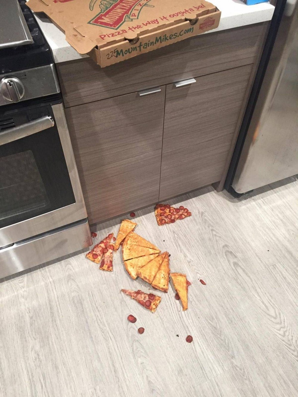 Unfortunate Situations (25 pics) Unfortunate Situations (25 pics)