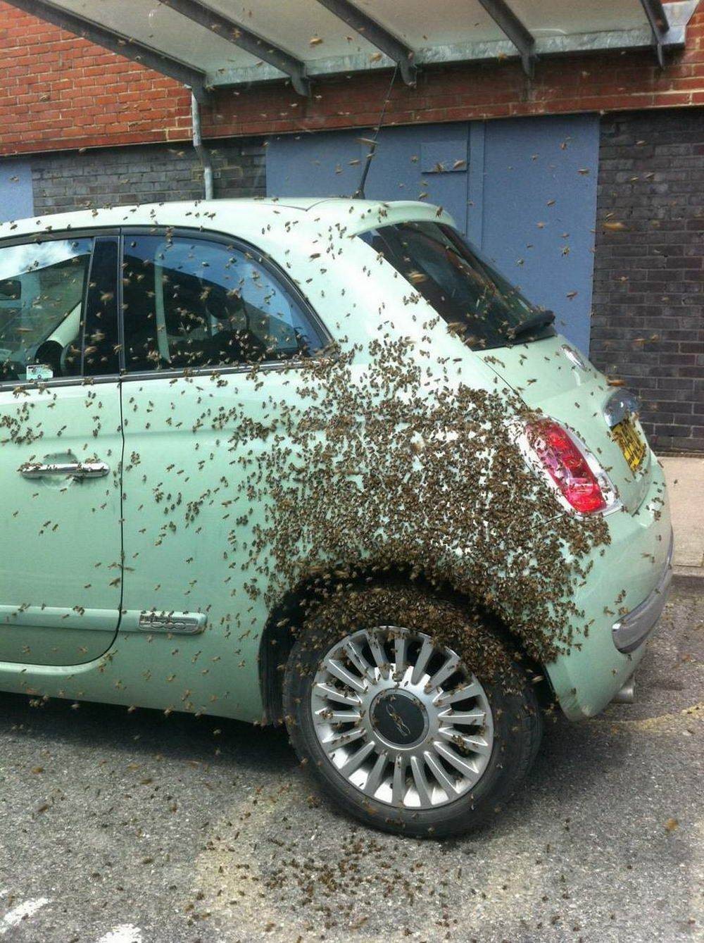 Bad Days Happen (27 pics)