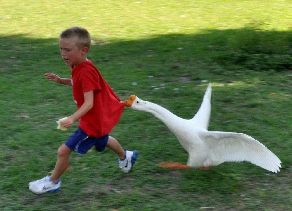 Bad Days Happen (27 pics)