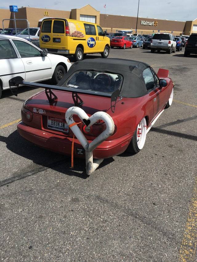 Daily Pictures. Part 1 (75 pics)