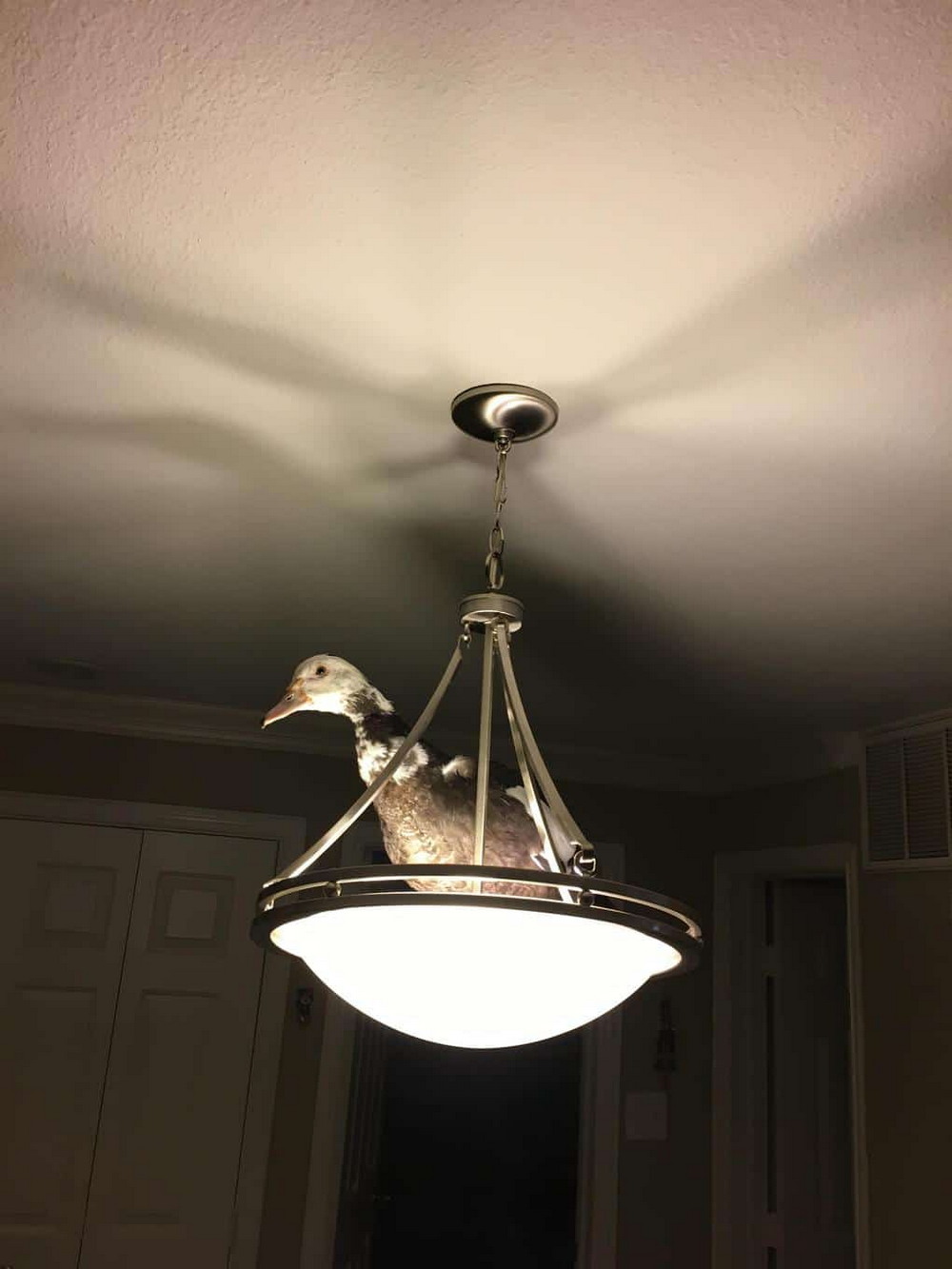 Daily Pictures. Part 2 (74 pics)