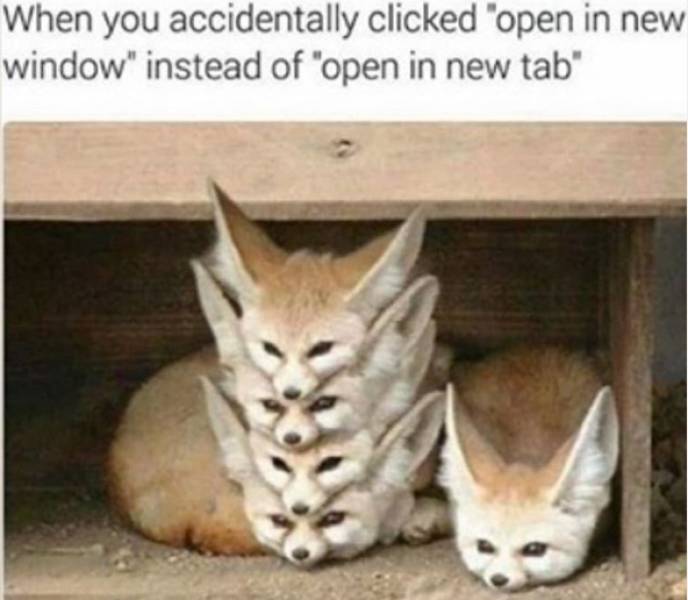 Daily Pictures. Part 2 (74 pics)