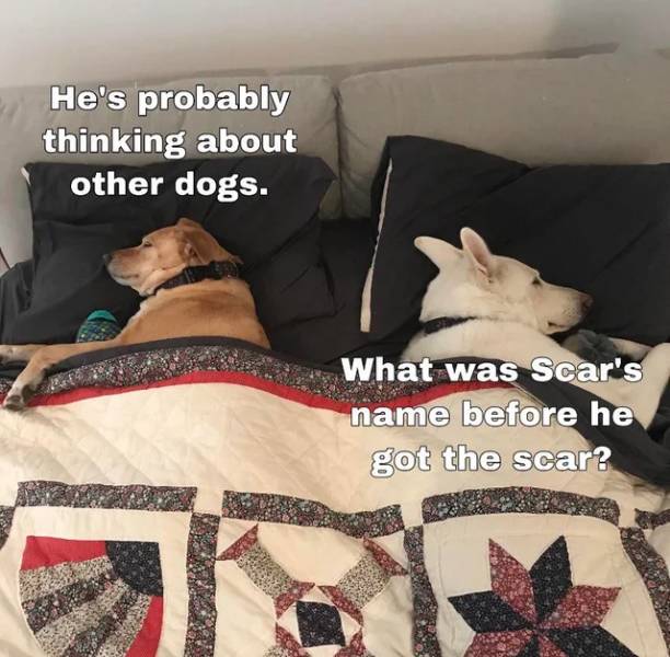 Daily Pictures. Part 2 (74 pics)