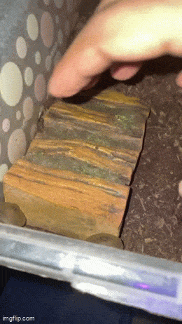Acid GIFs, July 23 (25 gifs)