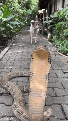Acid GIFs, July 23 (25 gifs)
