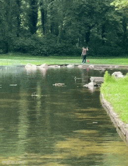 Acid GIFs, July 23 (25 gifs)