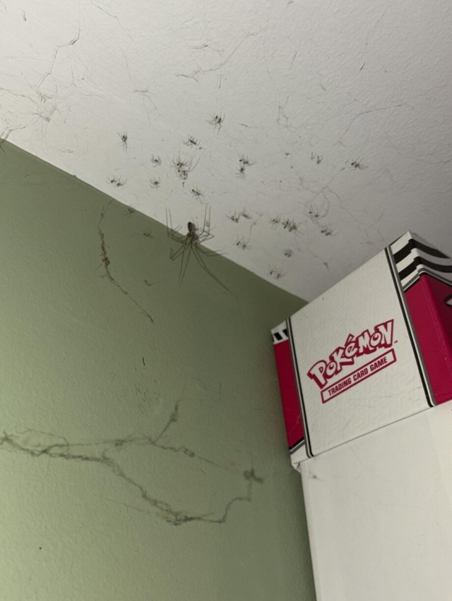 Annoying Situations (25 pics)