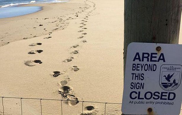 They Don't Care About The Rules (19 pics)