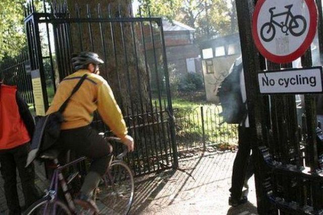 They Don't Care About The Rules (19 pics)