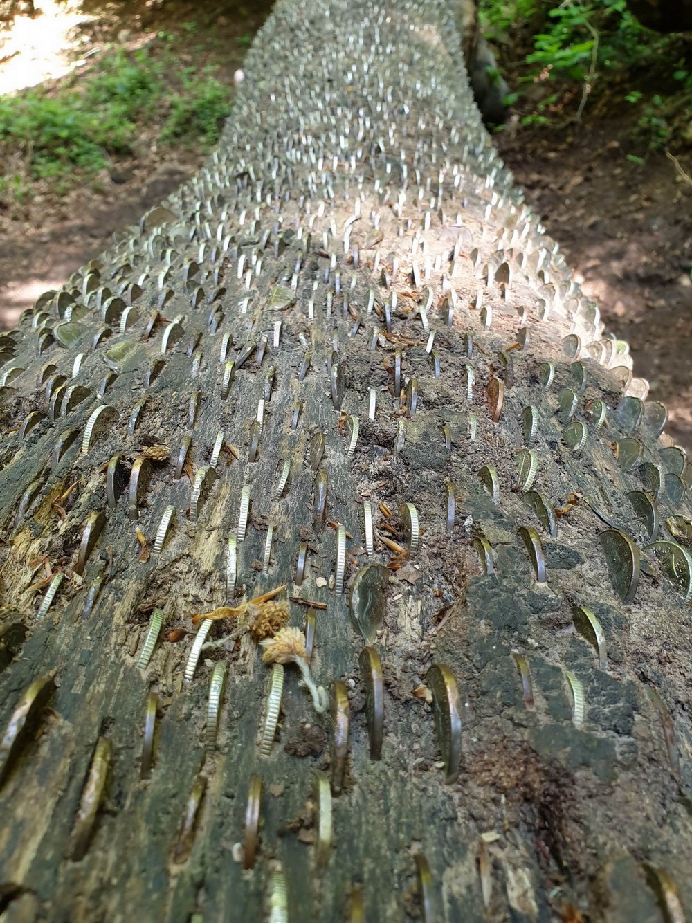 Daily Pictures. Part 1 (83 pics)
