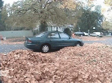 Acid GIFs, July 24 (25 gifs)