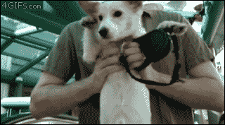 Acid GIFs, July 24 (25 gifs)