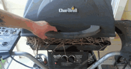 Acid GIFs, July 24 (25 gifs)