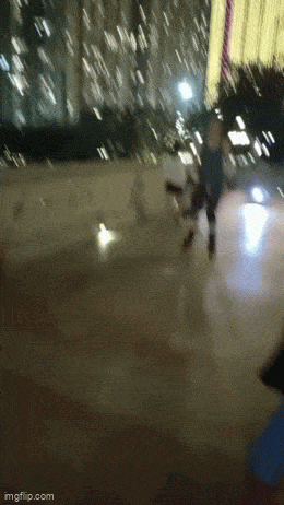 Acid GIFs, July 24 (25 gifs)