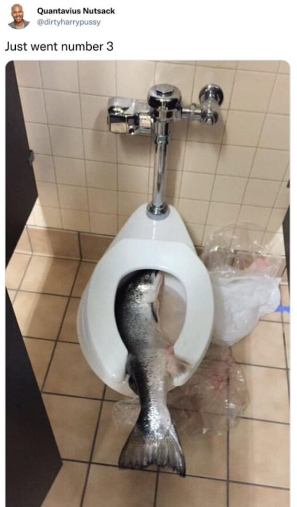 Funny Memes (23 pics)