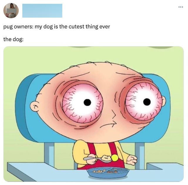 Funny Memes (23 pics)