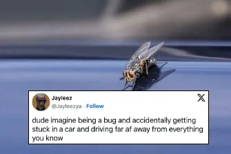 Funny Memes (23 pics)