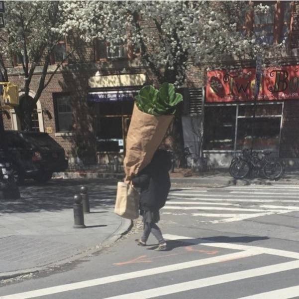 Giant Things (23 pics)