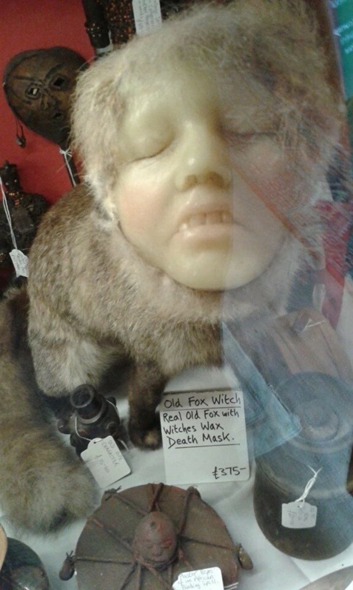 Strange Finds In Thrift Shops (19 pics)