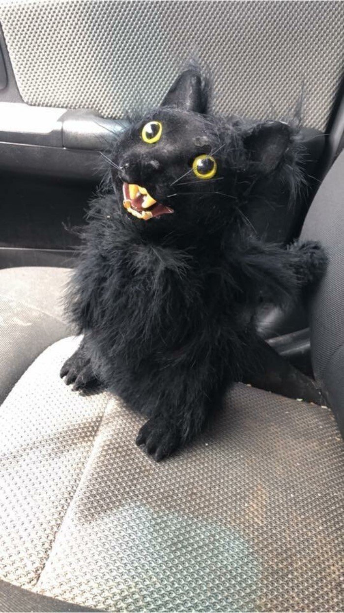 Strange Finds In Thrift Shops (19 pics)