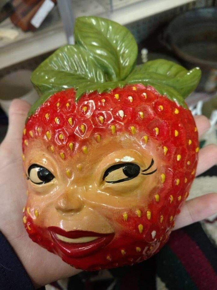 Strange Finds In Thrift Shops (19 pics)