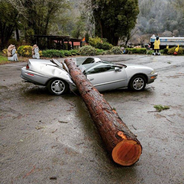 Bad Days Happen (21 pics)
