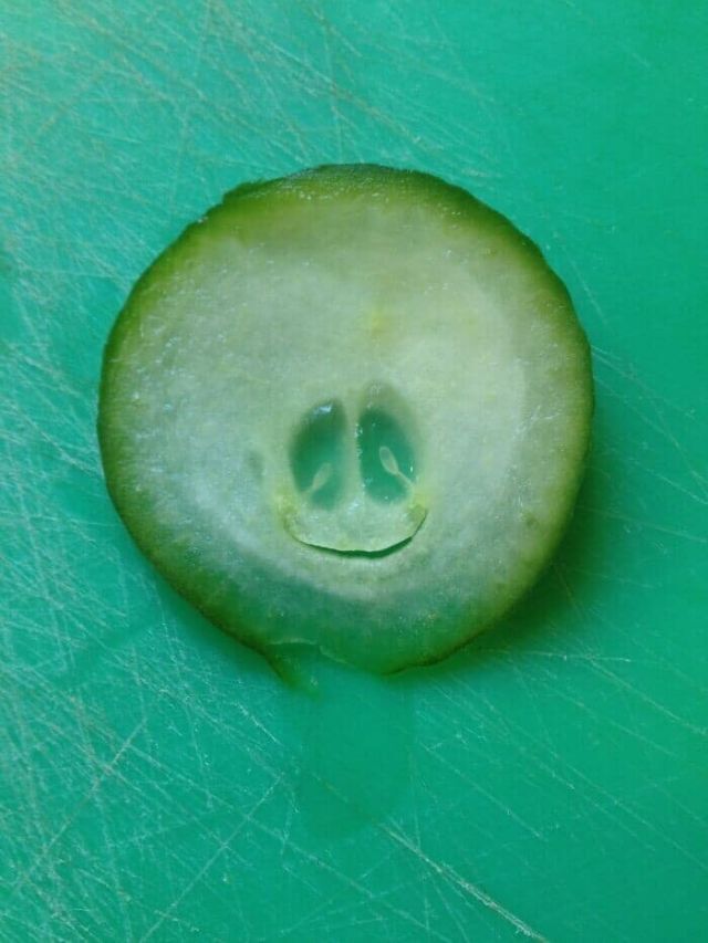 This Is Pareidolia (25 pics)