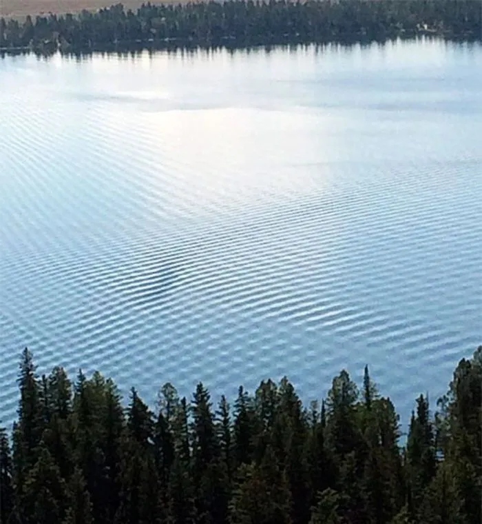Photos For Perfectionists (21 pics)