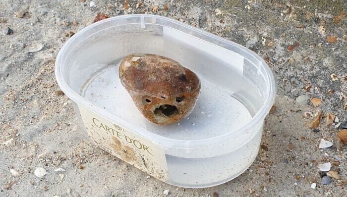 This Is Pareidolia (25 pics)