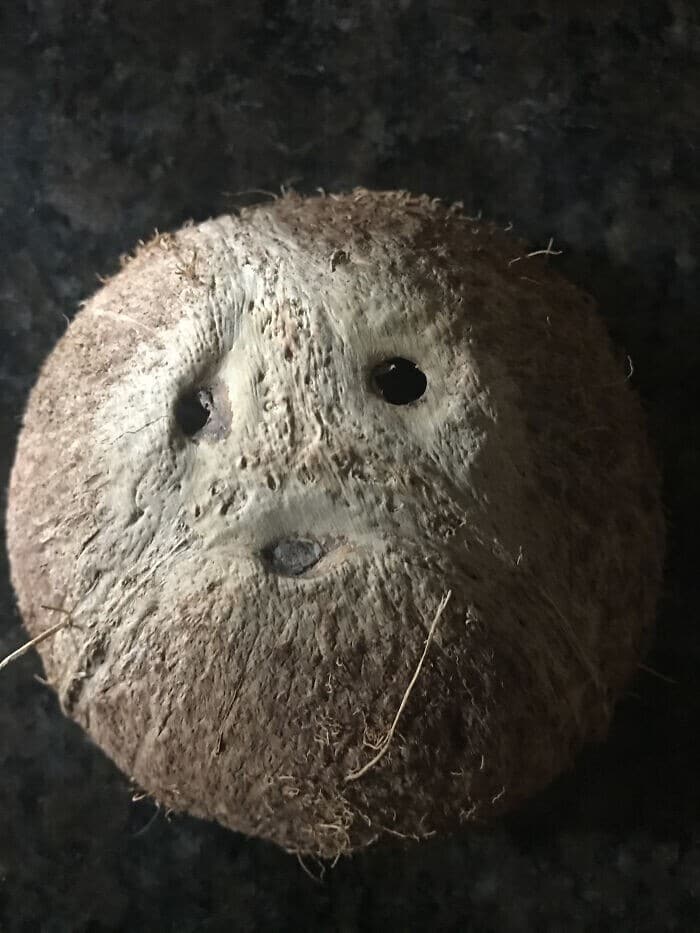 This Is Pareidolia (25 pics)