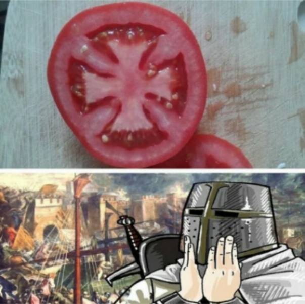 Daily Pictures. Part 2 (80 pics)