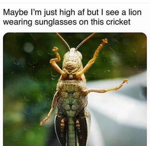 Daily Pictures. Part 2 (80 pics)