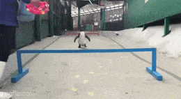Acid GIFs, July 27 (25 gifs)
