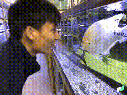 Acid GIFs, July 27 (25 gifs)