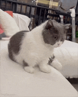 Acid GIFs, July 27 (25 gifs)