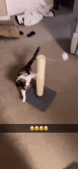Acid GIFs, July 27 (25 gifs)