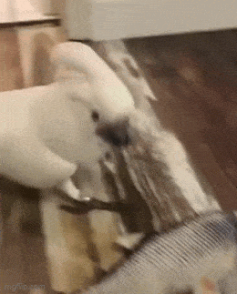 Acid GIFs, July 27 (25 gifs)