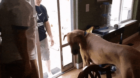 Acid GIFs, July 27 (25 gifs)