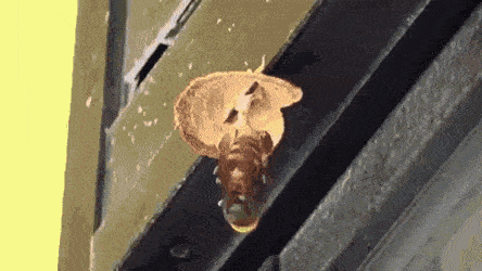 Acid GIFs, July 27 (25 gifs)