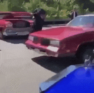 Acid GIFs, July 27 (25 gifs)