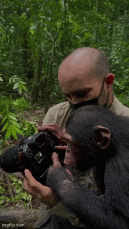 Acid GIFs, July 27 (25 gifs)