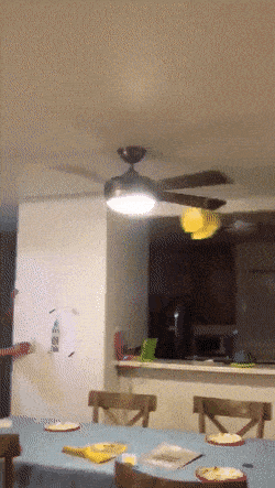 Acid GIFs, July 27 (25 gifs)