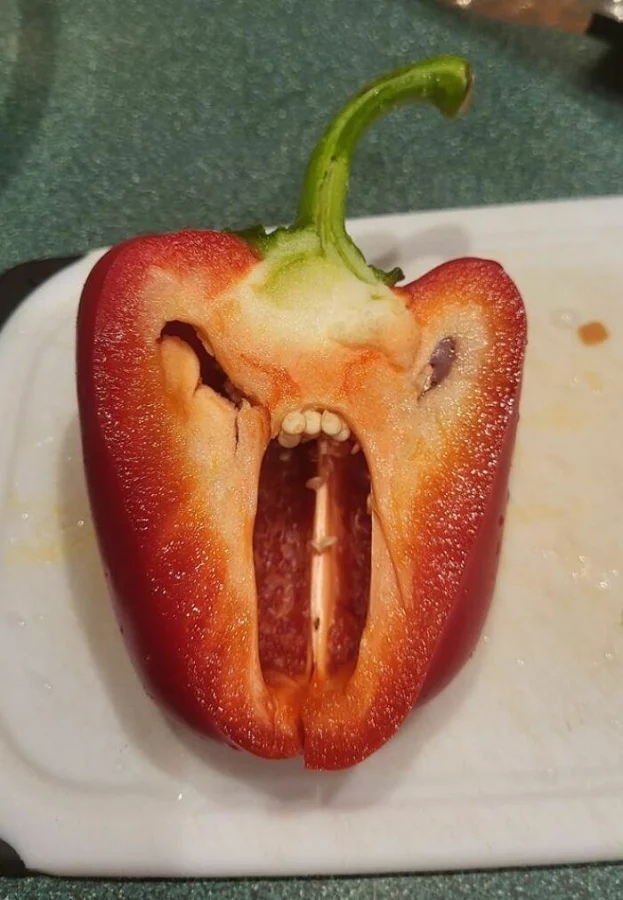 This Is Pareidolia (25 pics)