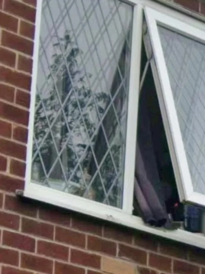 This Is Pareidolia (25 pics)