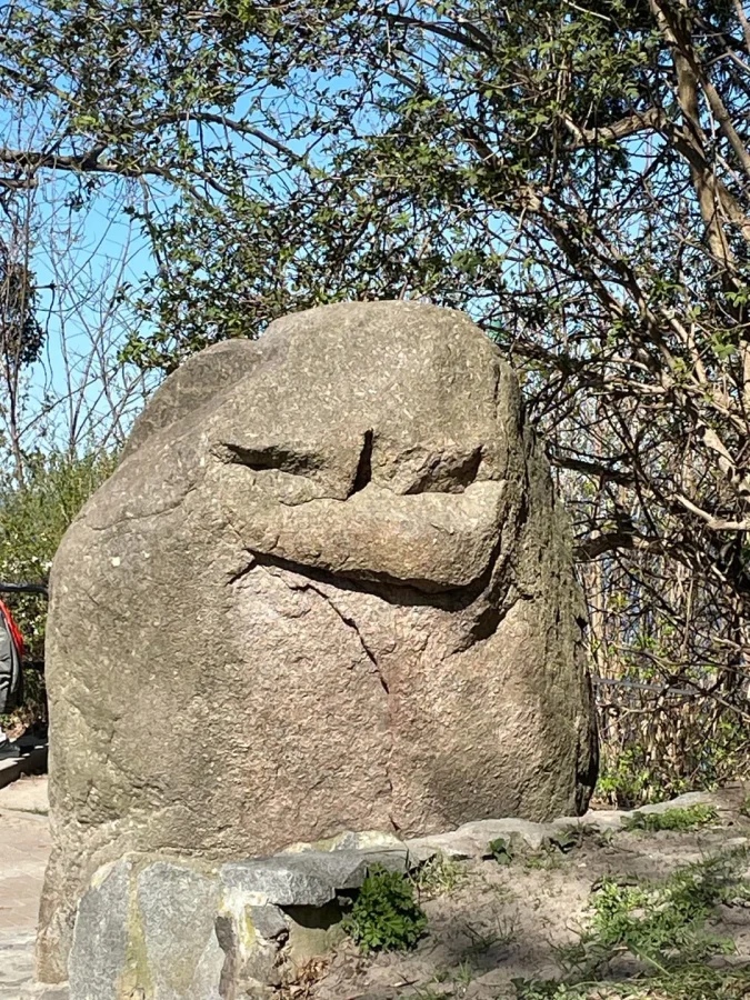 This Is Pareidolia (25 pics)