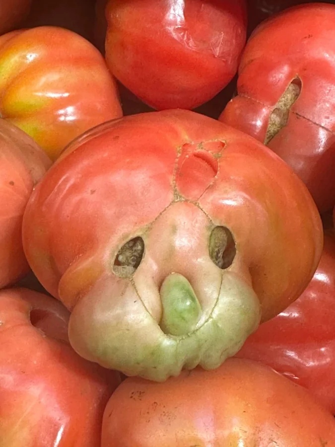 This Is Pareidolia (25 pics)