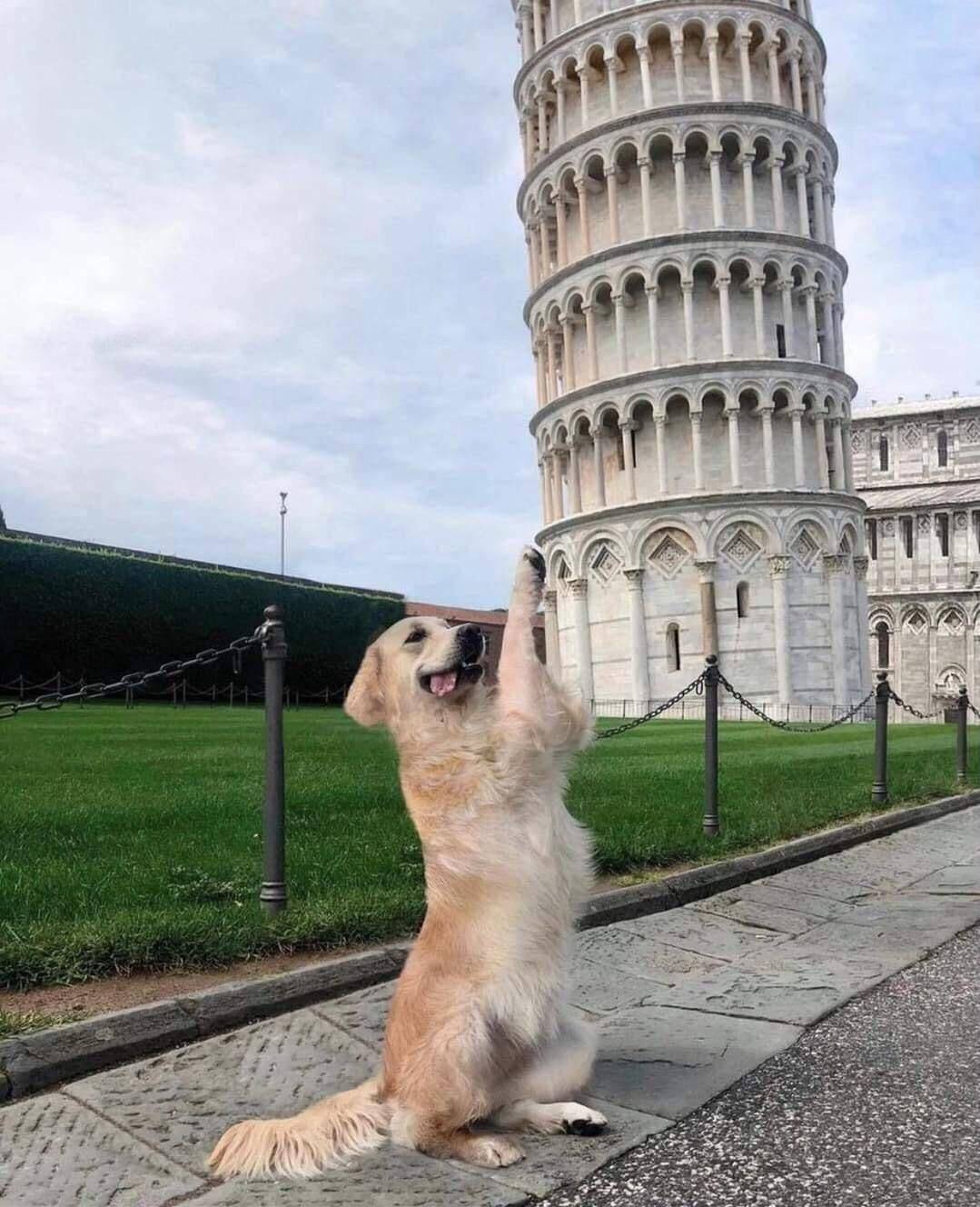 Daily Pictures. Part 2 (73 pics)