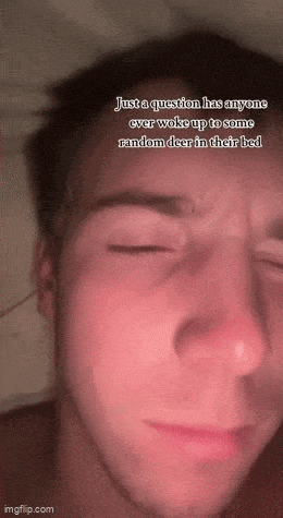 Acid GIFs, July 28 (25 gifs)